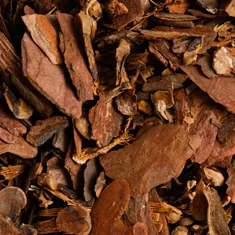 Cascara Sagrada Bark for gut detox support