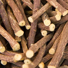 Licorice Root